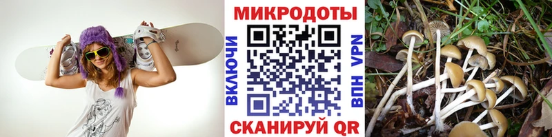 Галлюциногенные грибы Cubensis  мега ONION  Дрезна 